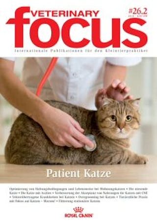 Ausgabe 26.2 Patient Katze